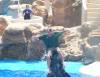 273 - Seaworld
