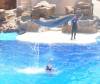 274 - Seaworld