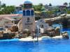 276 - Seaworld