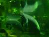 280 - Seaworld