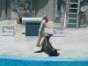 281 - Seaworld