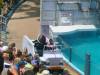 282 - Seaworld
