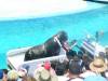283 - Seaworld