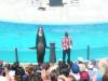 284 - Seaworld