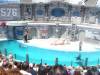 290 - Seaworld