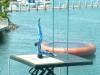 293 - Seaworld