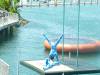 294 - Seaworld