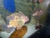 298 - Seaworld