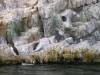 307 - Seaworld