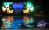 346 - Seaworld Night