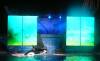 347 - Seaworld Night