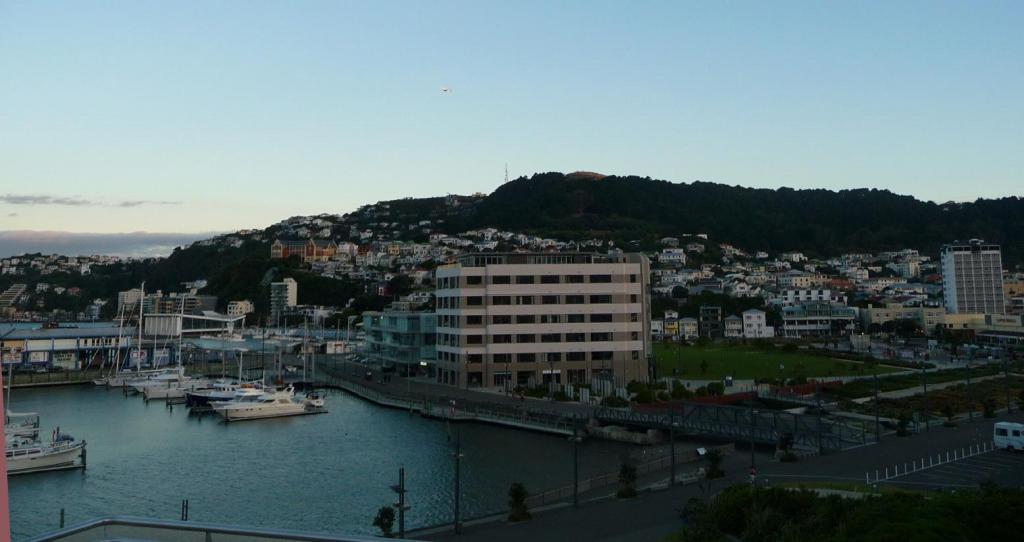 131 - Wellington