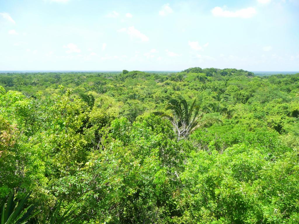 458 - Lamanai Mayan Ruins