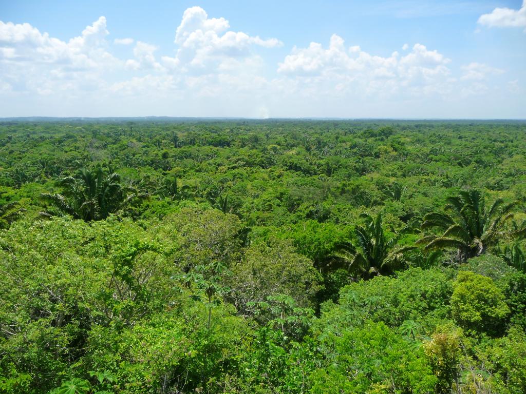 460 - Lamanai Mayan Ruins