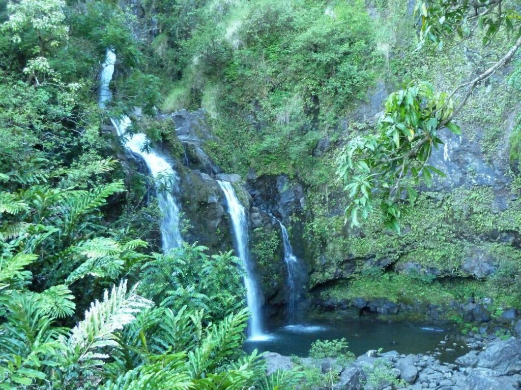 1235 - Road To Hana