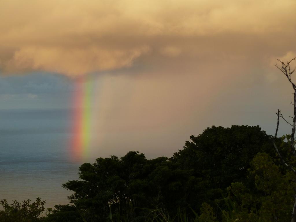 1241 - Road To Hana