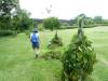 2101 - Hana Kahanu Gardens