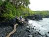 2113 - Hana Kahanu Gardens