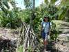 2115 - Hana Kahanu Gardens