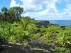 2116 - Hana Kahanu Gardens