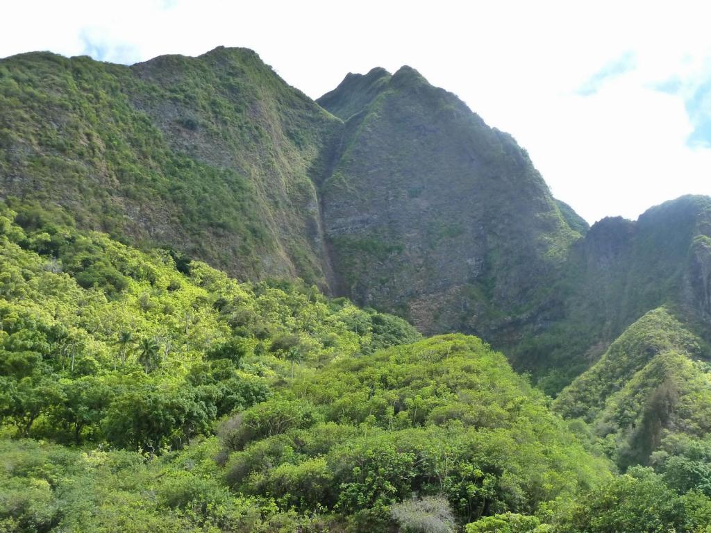 5210 - Iao Needle