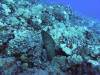 Album: Dive2-1