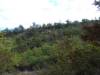 6202 - Kaanapali Zipline