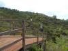 6211 - Kaanapali Zipline