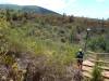 6226 - Kaanapali Zipline