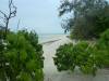 112 - Heron Island