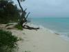 129 - Heron Island