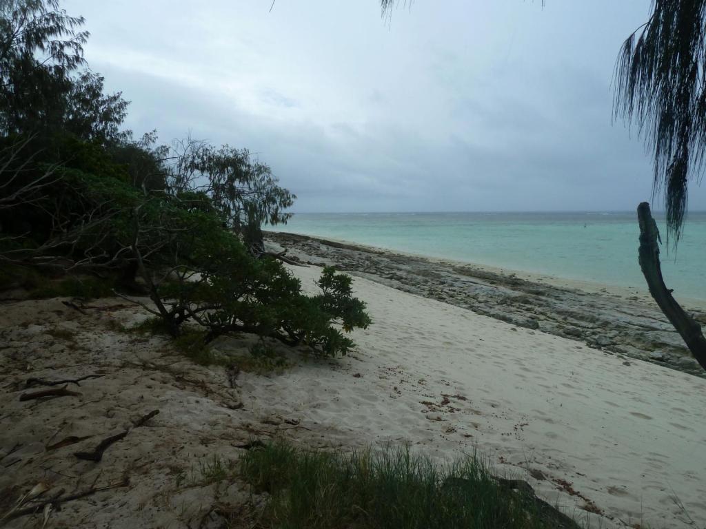 113 - Heron Island