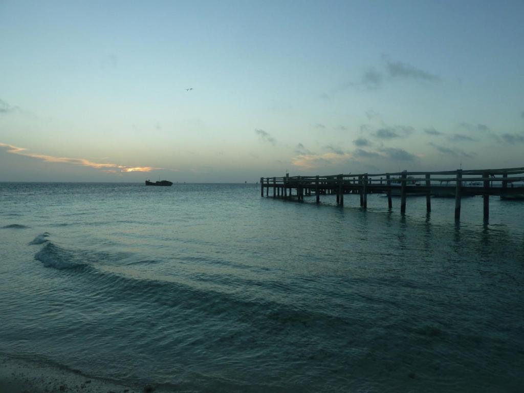 122 - Heron Island