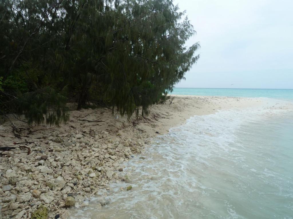 126 - Heron Island