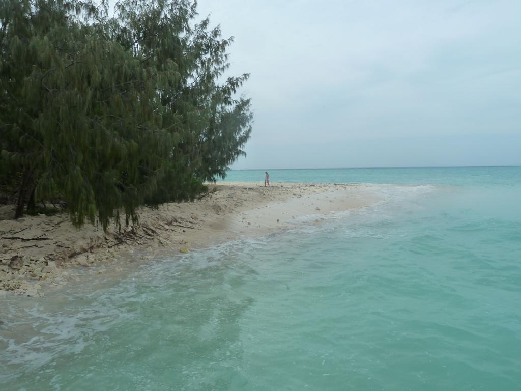 127 - Heron Island