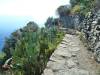 279 - Day13 Cinque Terre