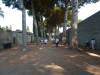 196 - Day15 Pompei