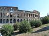 102 - Day16 Rome Colliseum