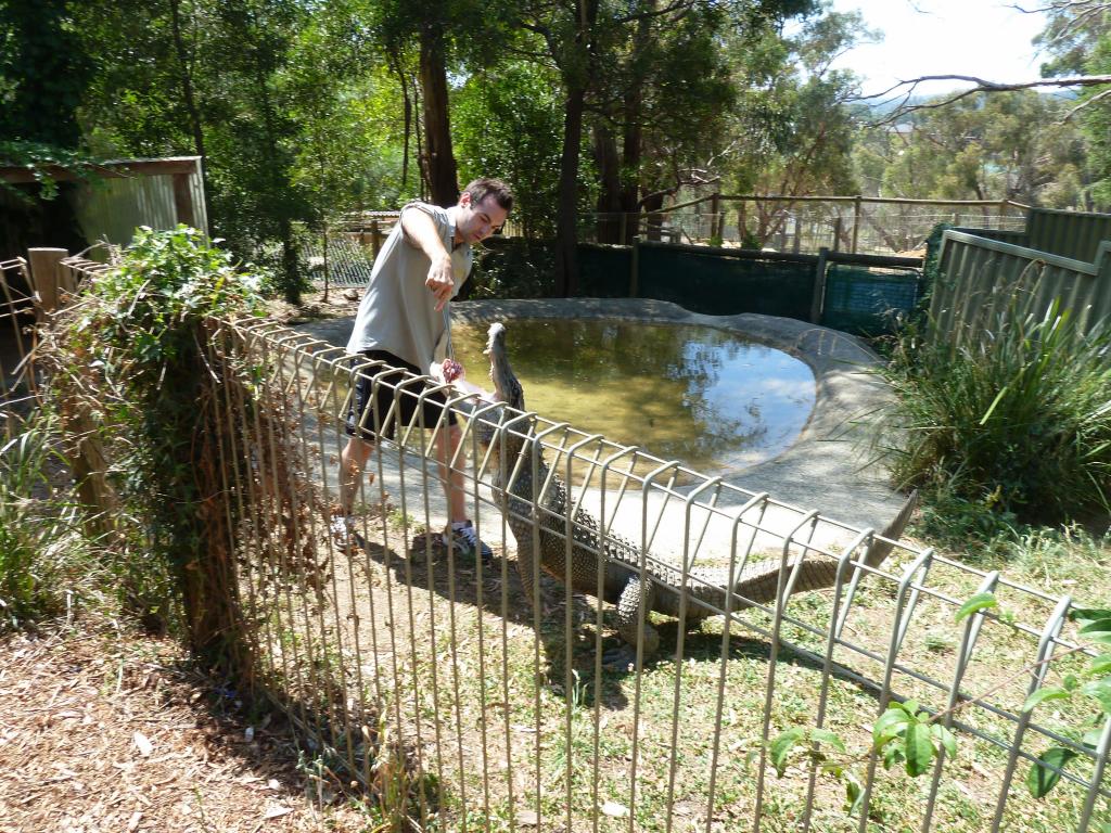 541 - Ballarat Wildlife Park