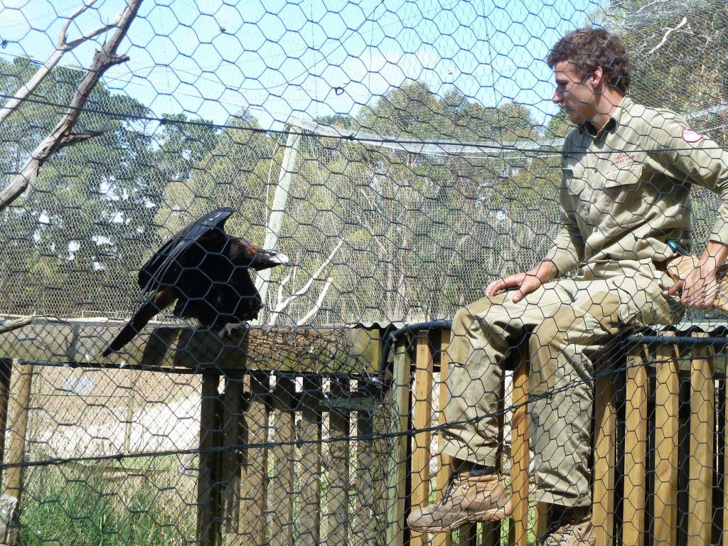 590 - Ballarat Wildlife Park