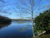 206 - Blue Ridge Parkway