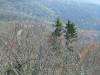 218 - Blue Ridge Parkway