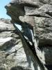 246 - Blue Ridge Parkway