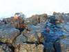 Album: Day4-Hike2 Pt Ayora El Garrapatero Beach