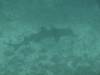 Album: Day6-Snorkel2 Floreana Devils Crown