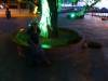 125 - San Cristobal