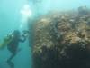 Album: Dive2-2 Punta Carrion