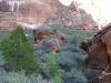2104 - Day2 Zion