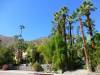 120 - Palm Springs