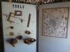 430 - Sunday FaultLine Tour